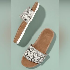Maruti Animal Print Suede Leather Slides size 37 / women’s 6.5